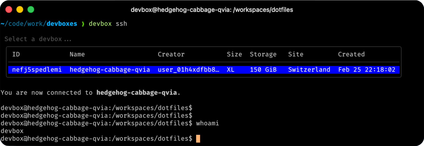 Devbox ssh