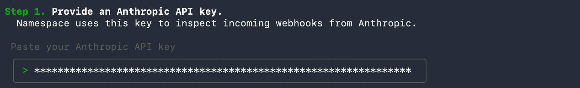 Provide Anthropic API Key